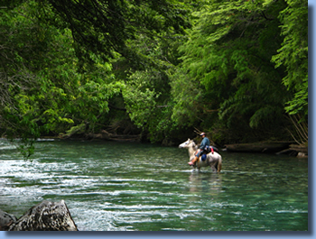Rider on horseback in a river o a trailride with Antilco
